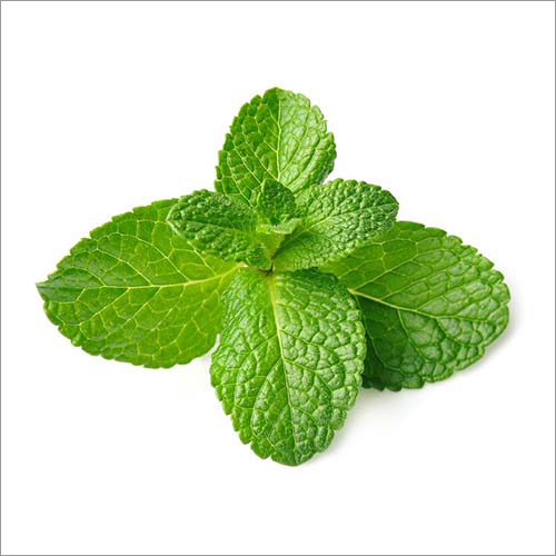 Mint Leaves