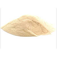Agar Powder