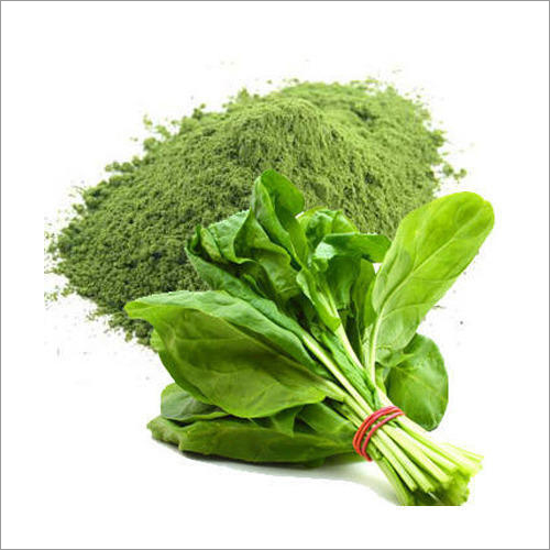 Palak Powder