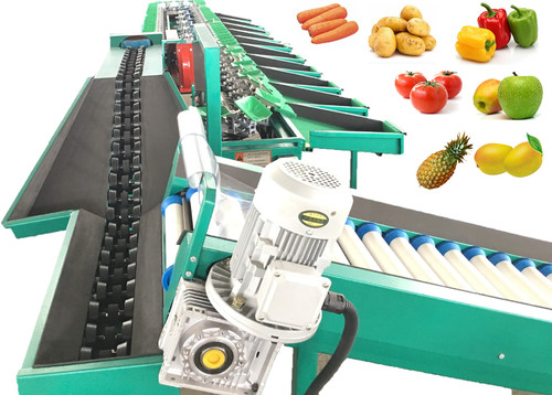 Fws-15000 Factory Price Abalone Sorting / Scallop Grading Machine Fruit Vegetable Weight Sorting Machine