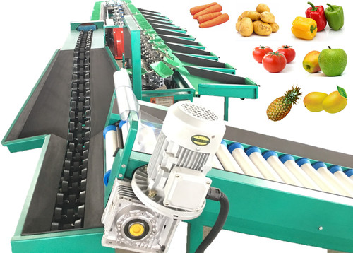 Fws-15000 Wholesale High Performance Grapefruit Weigher Sorting Machine Honeydew Melon Sorter Pear Grader Machine Peach Weighing Selecting Machine