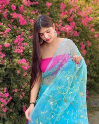 Hot Organza Saree