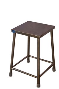 Visitor Stool (S.S.)