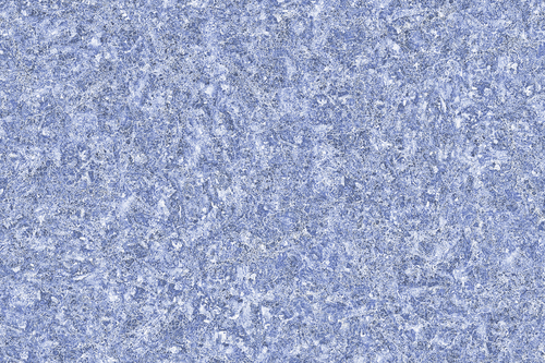 15064 GLOSSY CERAMIC WALL TILES 300X450mm