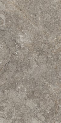 ANTRESIT Grey 1200x2400mm slab porcelain tiles