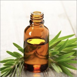 Herb Essential Oil