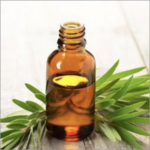 Tea Tree Oil