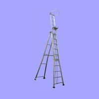 Self Supported Extension Ladder
