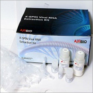 Molecular Diagnostic Kit