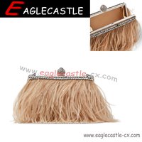 Fashion Evening Bag