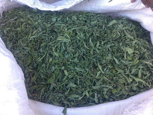 Dry Stevia