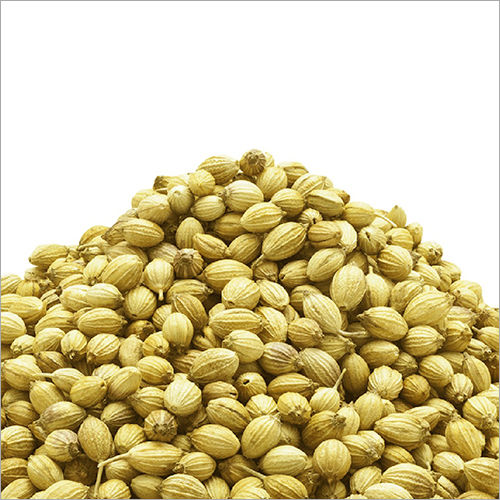 Coriander Whole