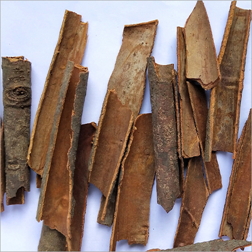 Fresh Cinnamon Whole