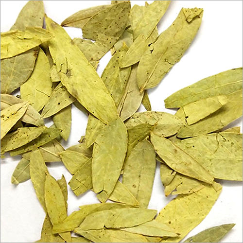 Senna Leaves
