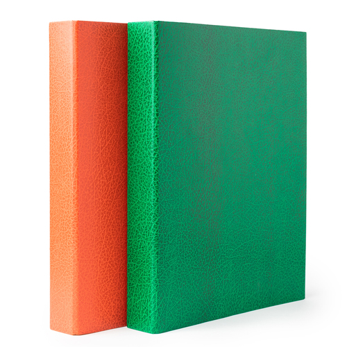 Mahavir Premium - A4 Size - 1 Inch - 2d (2 Hole) Ring Binder File (Green)