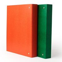 Mahavir Premium - A4 Size - 1 Inch - 4d (4 Hole) Ring Binder Files (Green)