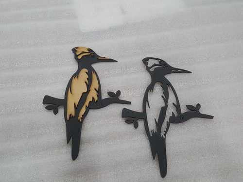 बर्ड सीसी वॉल हैंगिंग