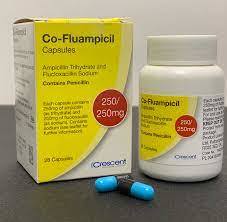 Co-fluampicil Capsules