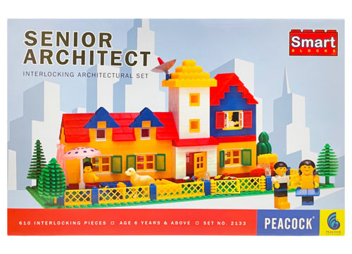 Senior Architect Age Group: 8-11 Yrs