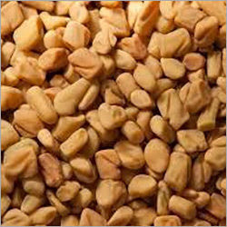 Fenugreek Seed