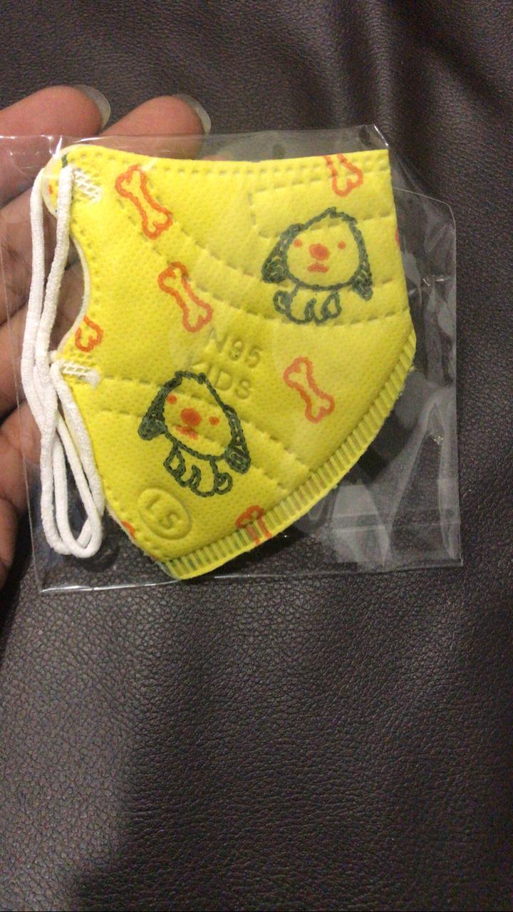 N95 Kids Mask