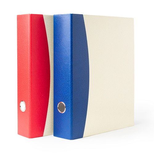 Mahavir Premium - A4 Size - 1.5 Inch - 4D (4 Hole) Ring Binder Files (Red)