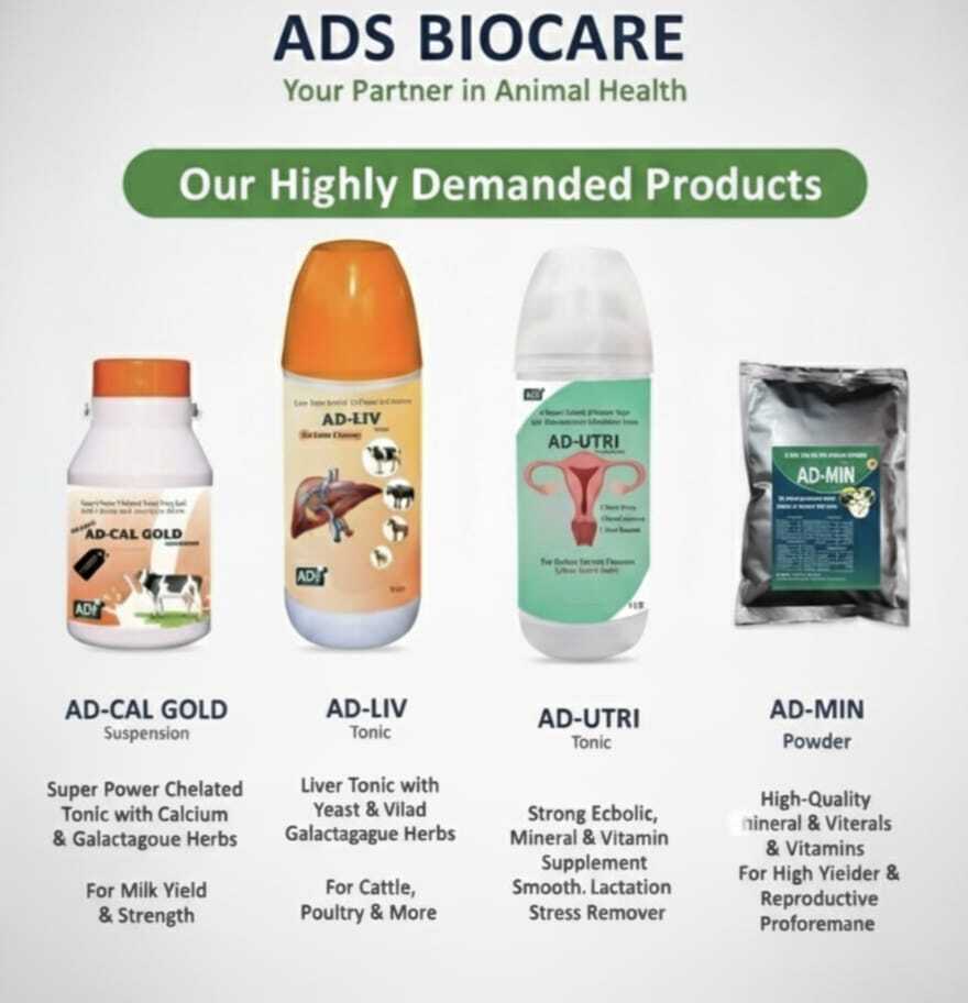 ट्रे ड्रियर ओवन