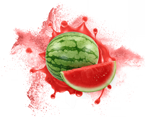 Watermelon Powder ( Spray Dried ) Food Grade