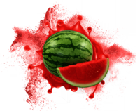 Watermelon Powder ( Spray Dried ) Food Grade
