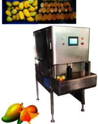Automatic Mango Peeling Seeding Machine On Sale