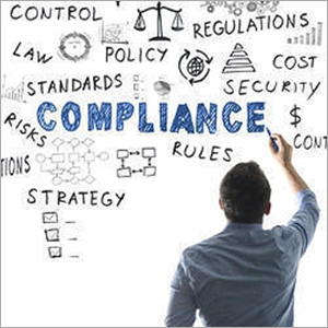 Asset Compliance Audit Services