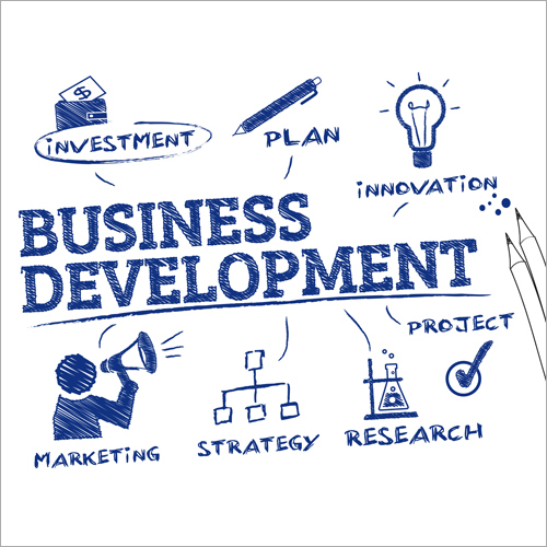 Business Development Manager Services