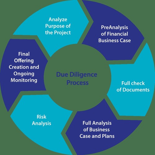 Due Diligence Consultancy