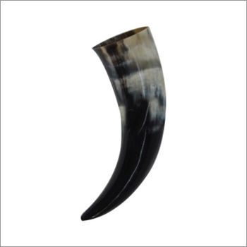 Drinking Horn Glass