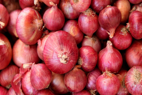 Fresh Onion