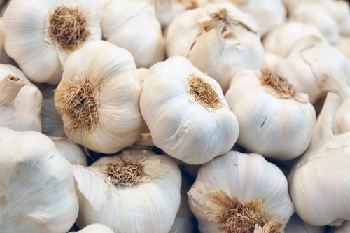 Fresh Garlic