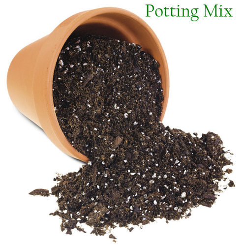 Pooting Mix For Urbanagricuture