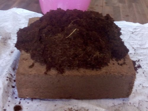Cocopeat Powder For Plants