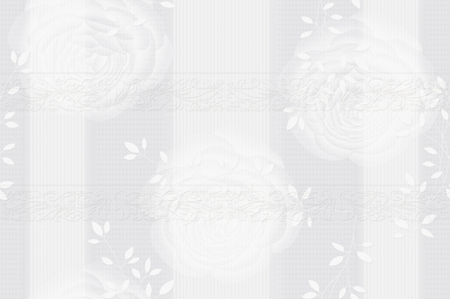 15083 Glossy Ceramic Wall Tiles 300x450mm