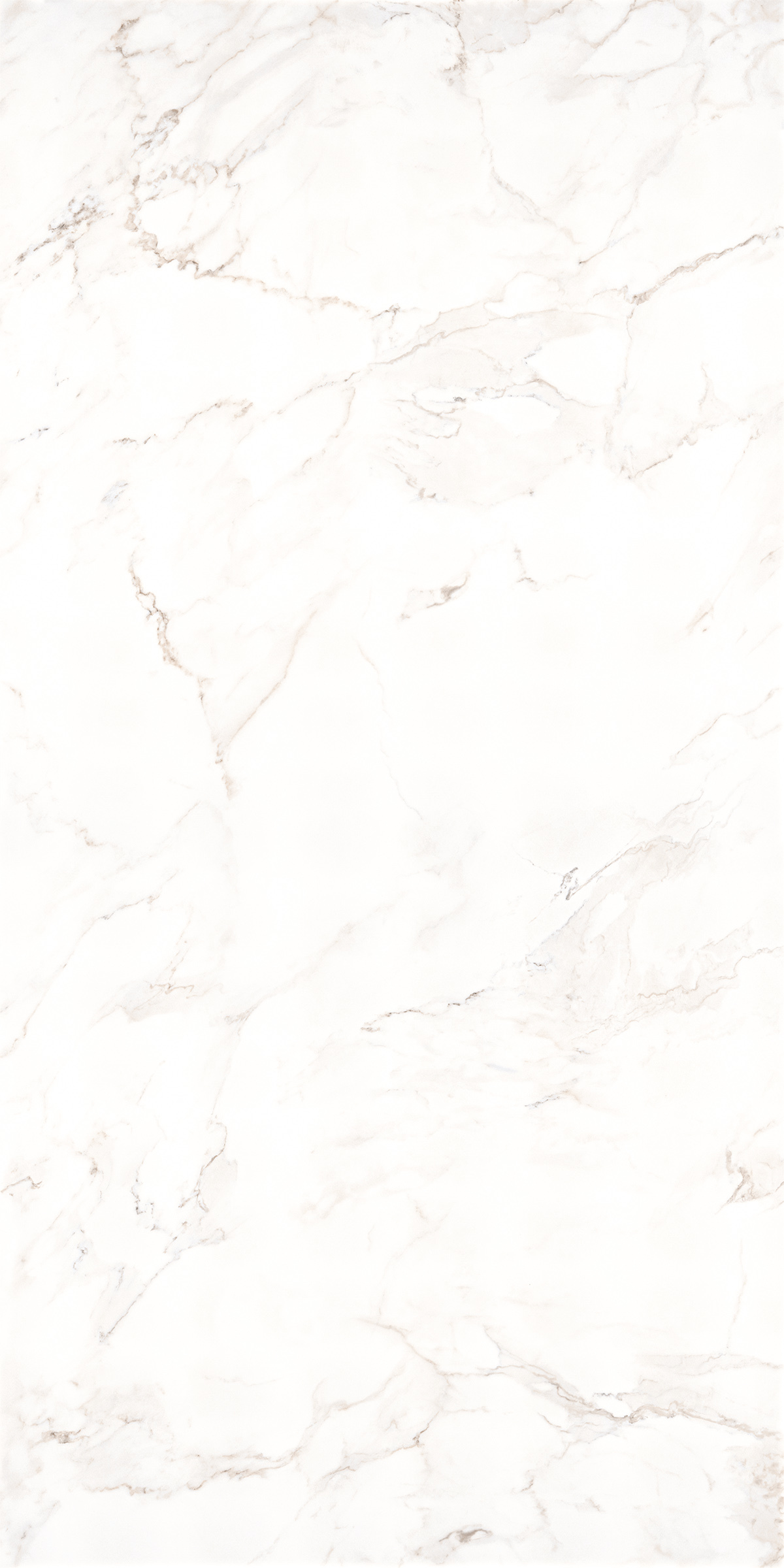 Calacatta 1200x2400mm Slab Porcelain Tiles
