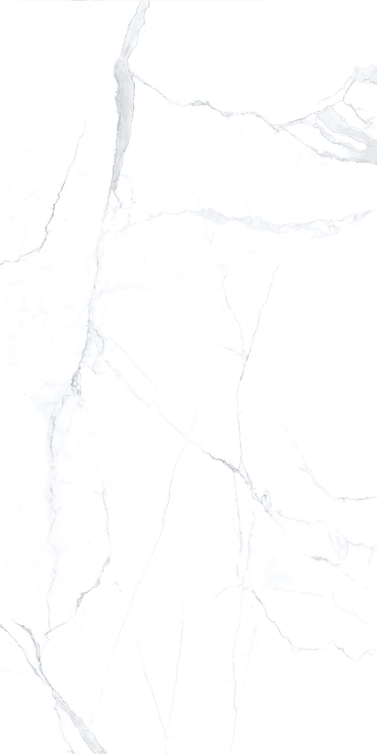 Calacatta Elite 1200x2400mm Slab Porcelain Tiles