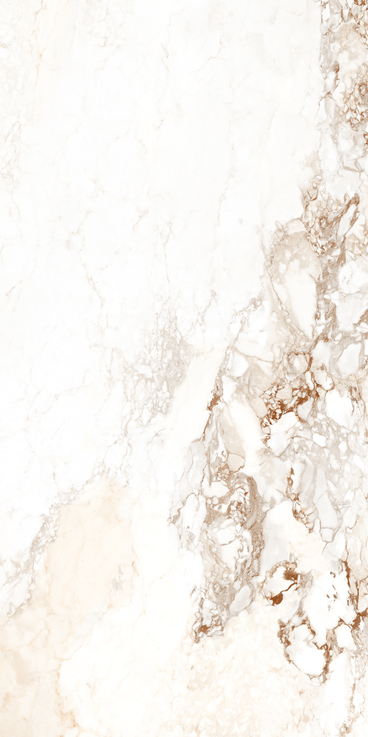 Carrara Borghini 1200x2400mm Slab Porcelain Tiles