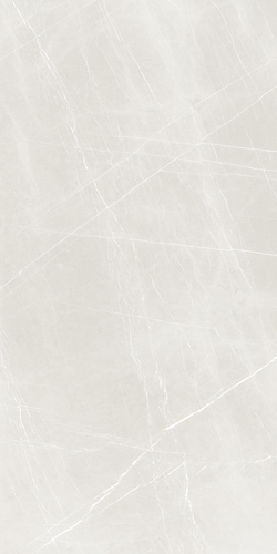 French Porcelain 1200x2400mm Slab Porcelain Tiles