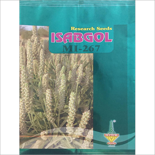 MI 267 Isabgol Seeds