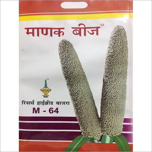 M64 Hybrid Bajra Seeds