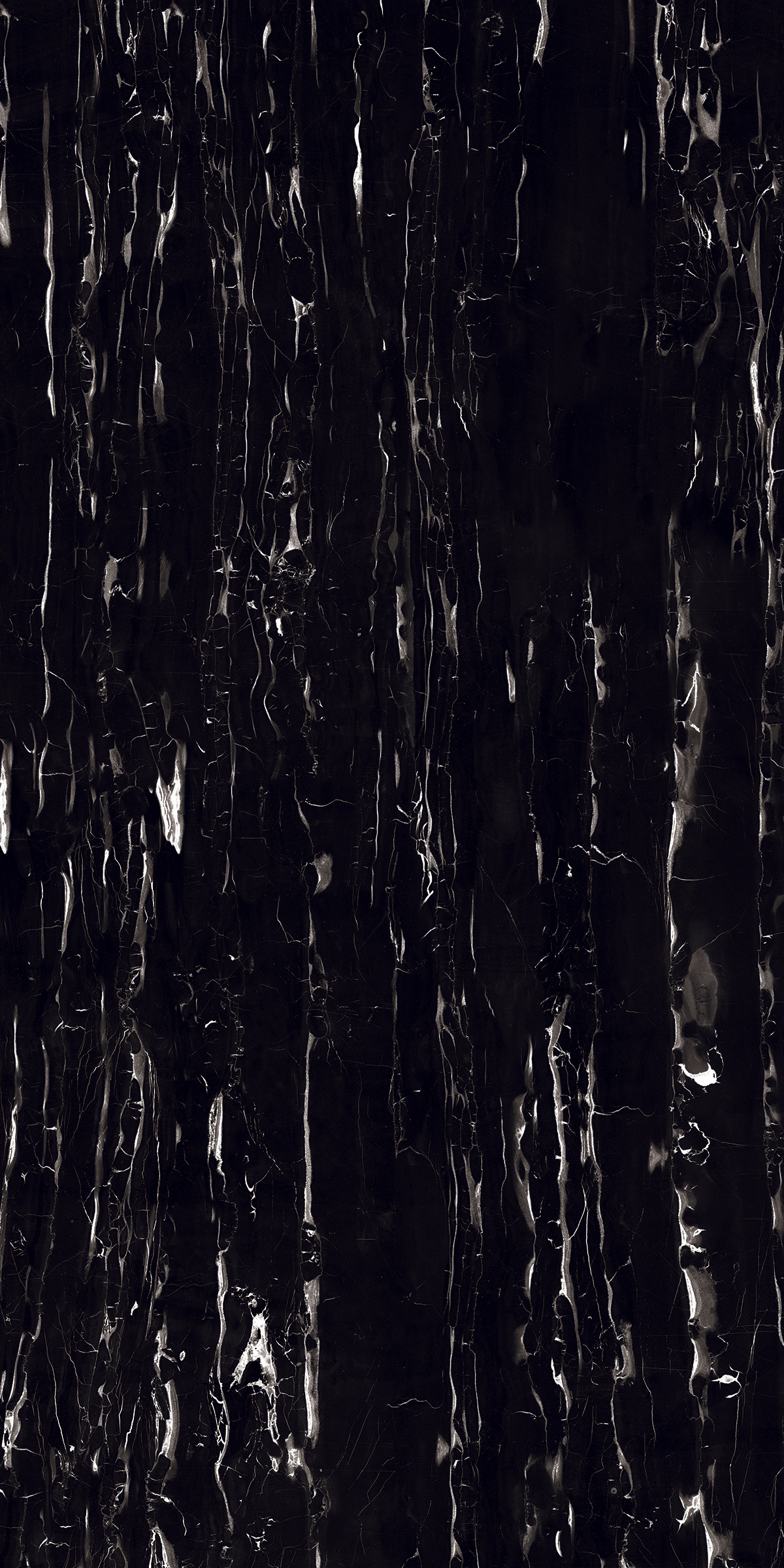 Rose Black 1200x2400mm Slab Porcelain Tiles