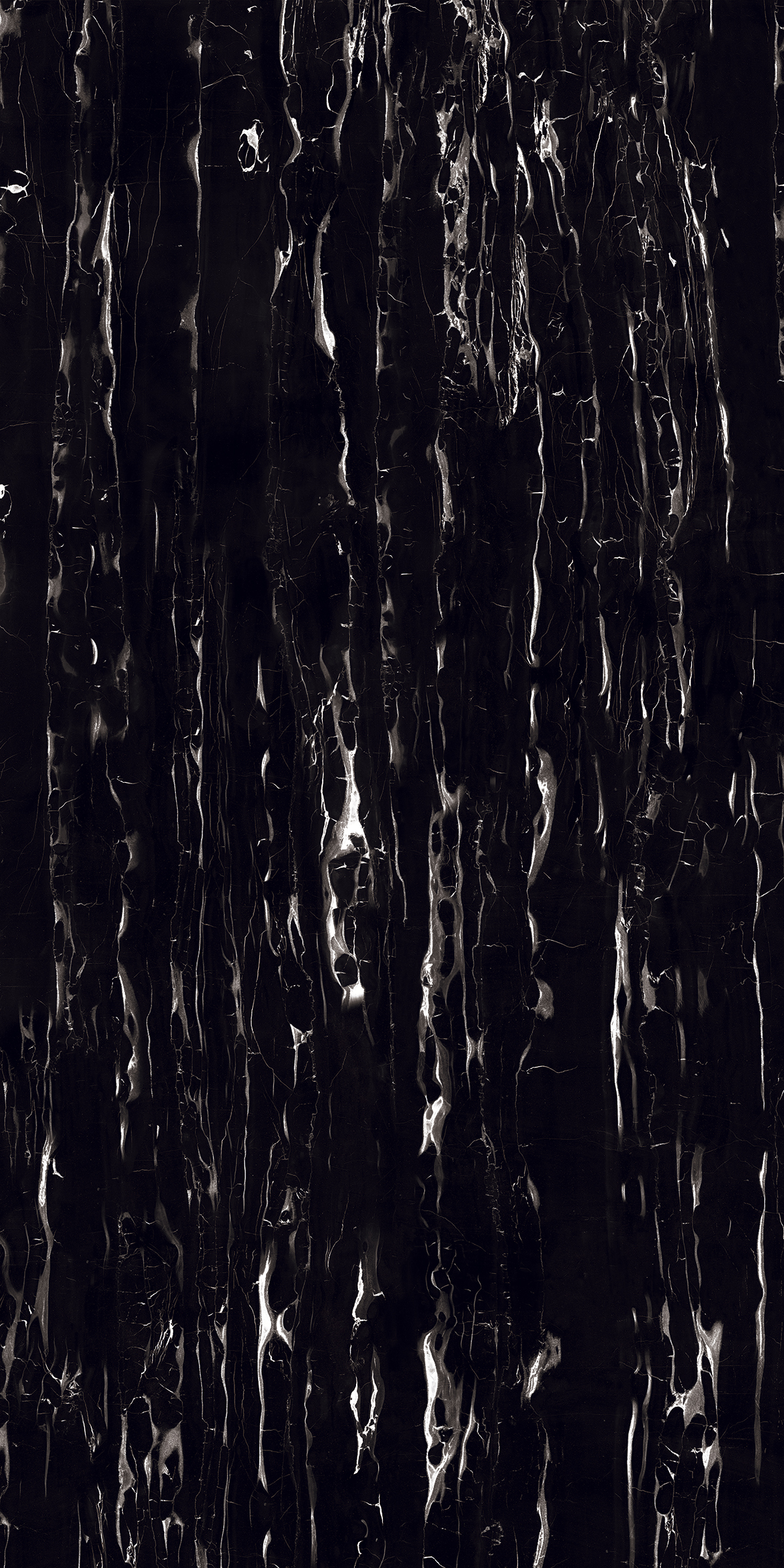 Rose Black 1200x2400mm Slab Porcelain Tiles