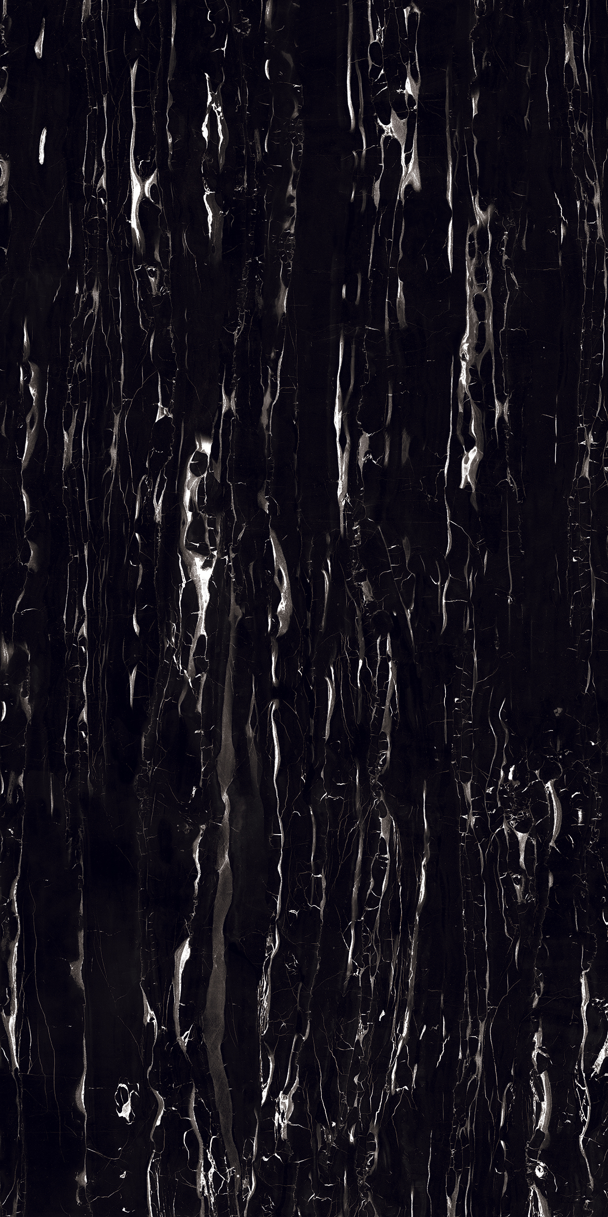 Rose Black 1200x2400mm Slab Porcelain Tiles