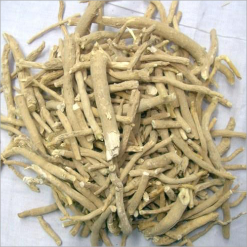 Ashwagandha Extract (Withania Somnifera)