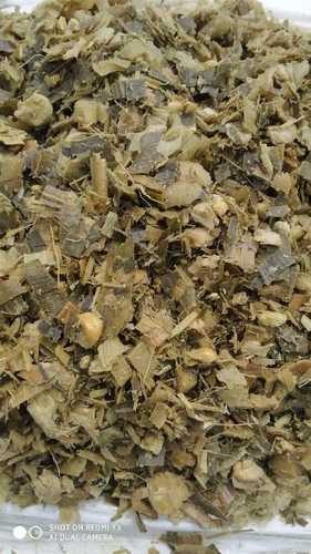 Corn Silage